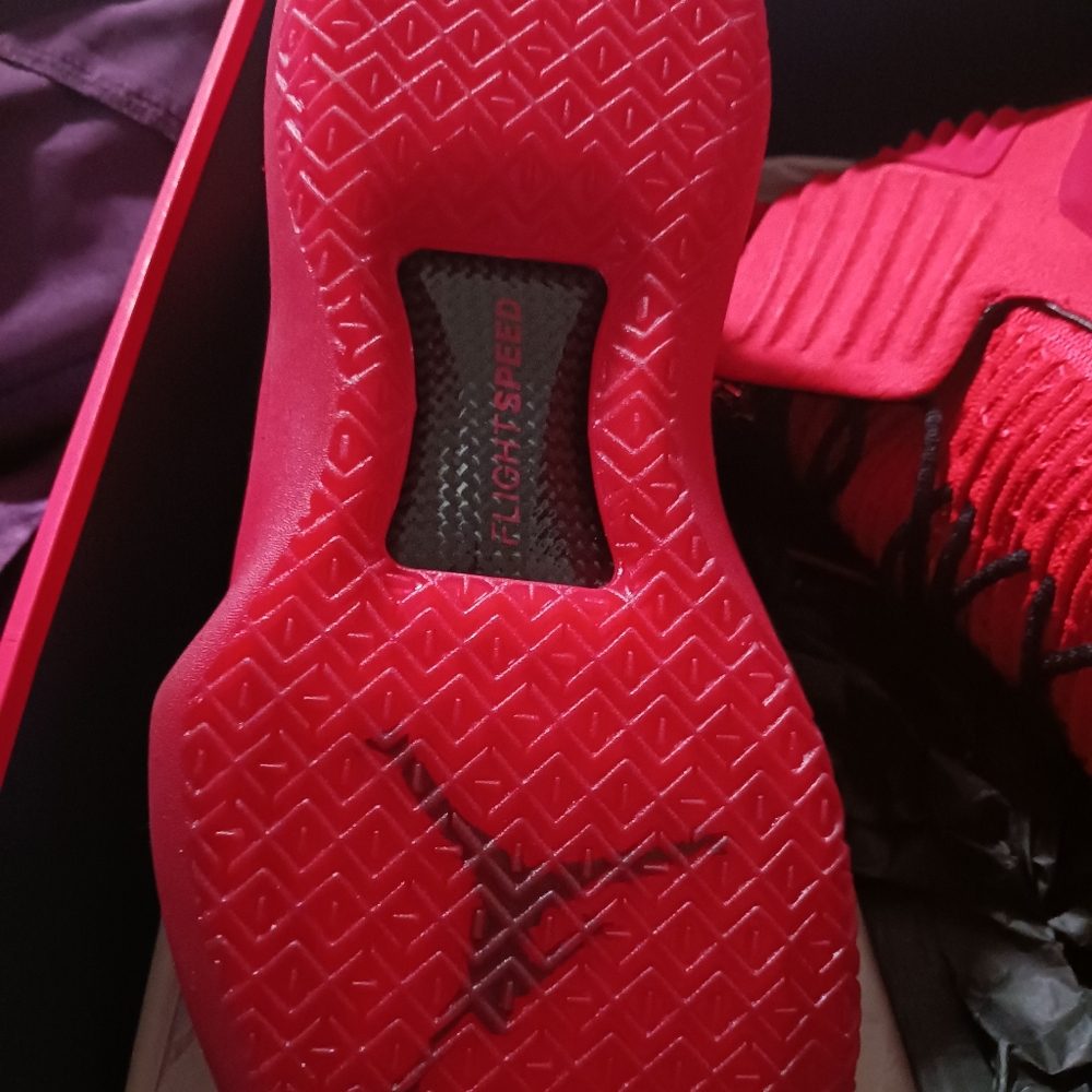 Jordan XXX11